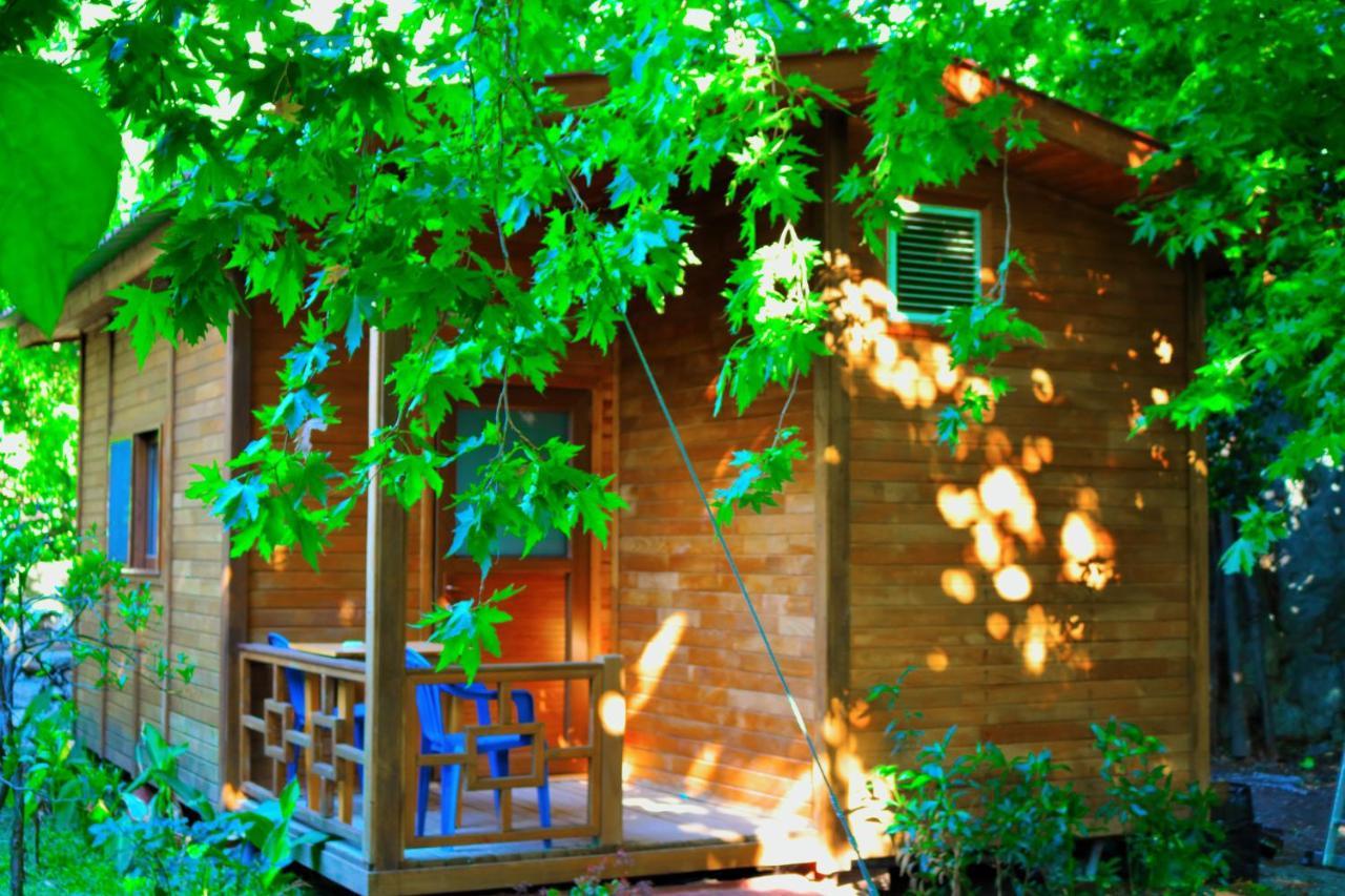 Simge Pension Cirali Exterior photo