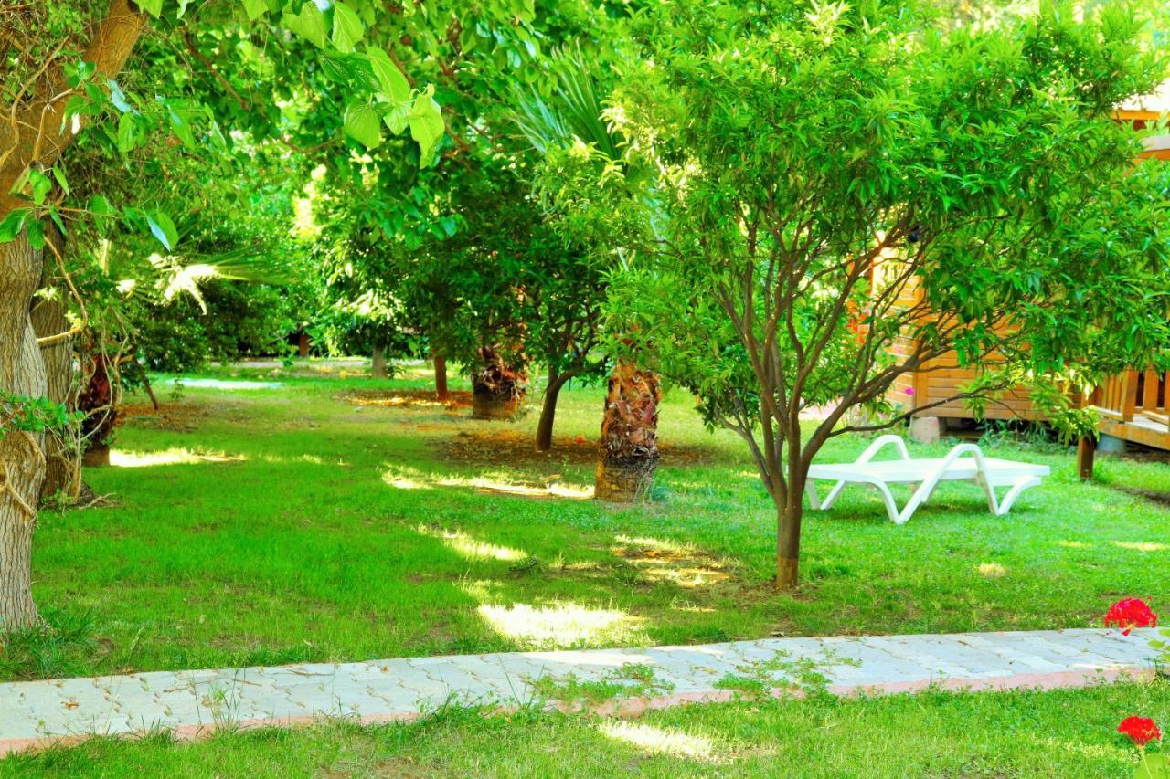Simge Pension Cirali Exterior photo