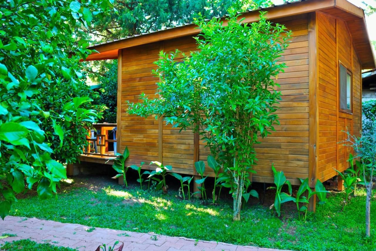 Simge Pension Cirali Exterior photo